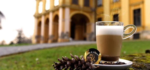 Brunch Ideas: Pairing Your Lattés